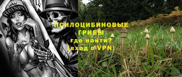 прущая мука Вязники